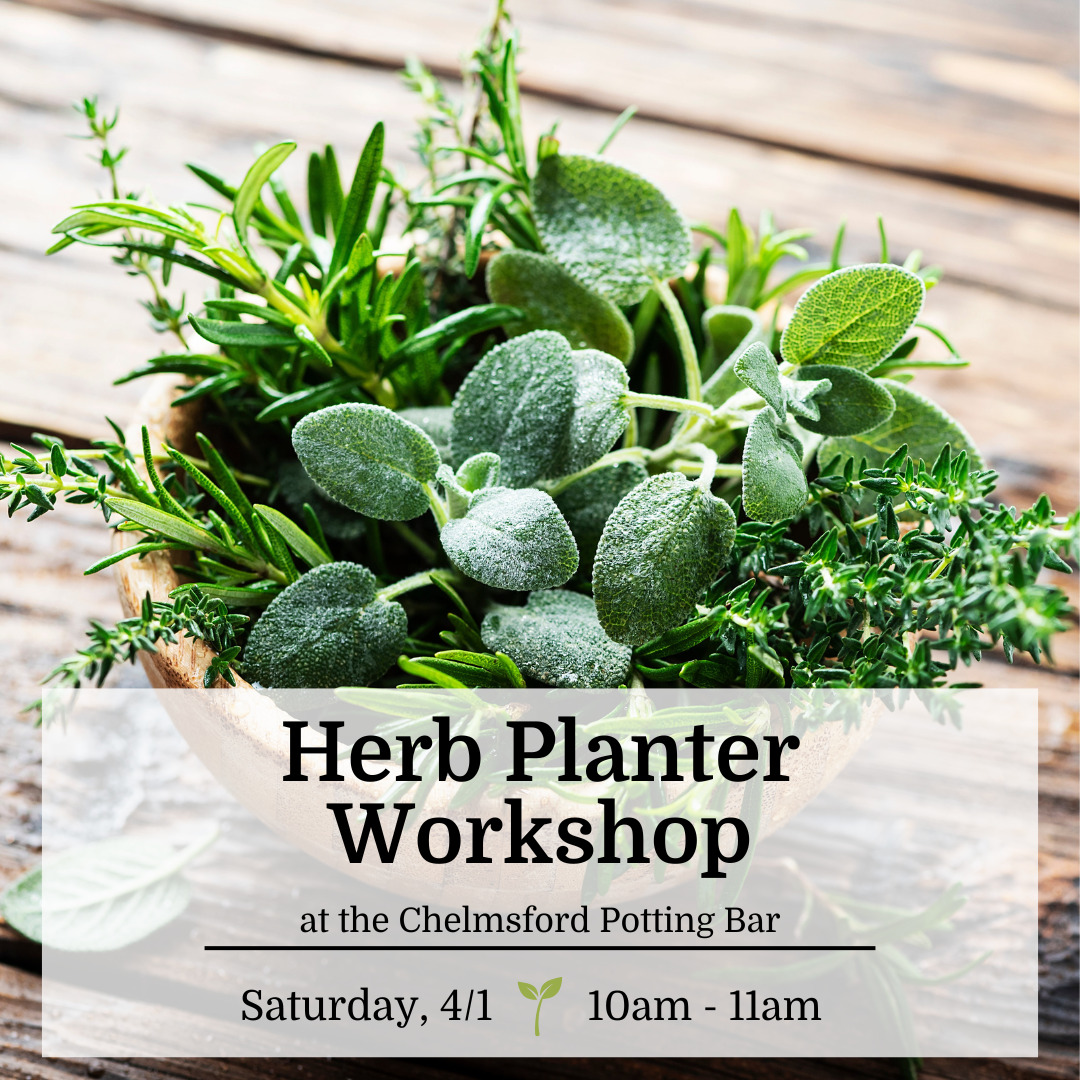 Herb Planter Workshop: Nurseries