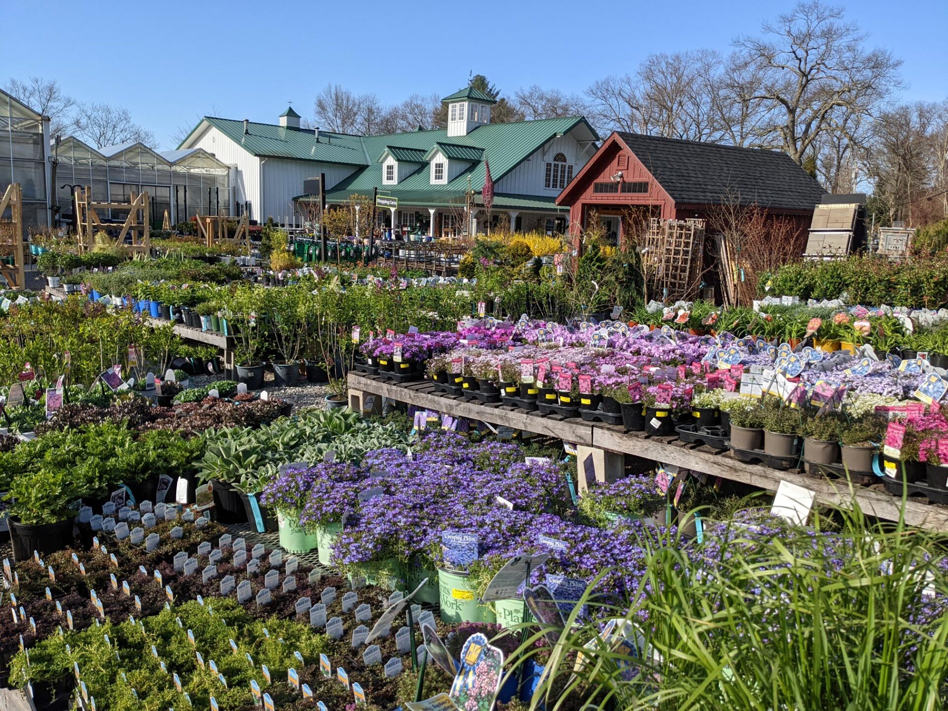 Chelmsford - Weston Nurseries