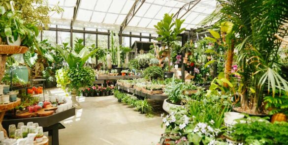 Greenhouse at Weston Nurseries of Lincoln