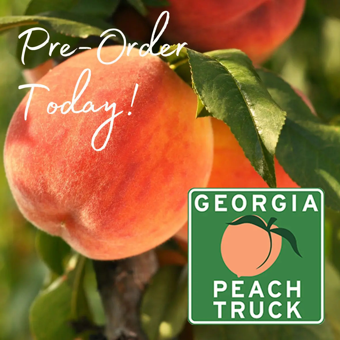 Georgia Peach Truck - 7/6 - Weston Nurseries